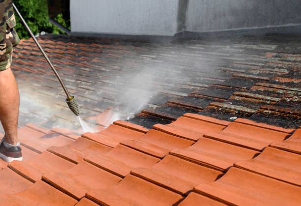 Best Fence Pressure Washing  in Citrus Hills, FL